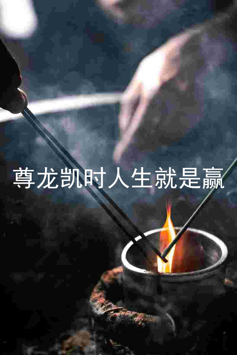 尊龙凯时人生就是赢