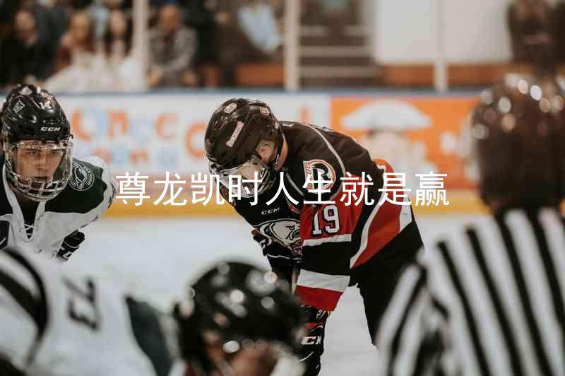 尊龙凯时人生就是赢
