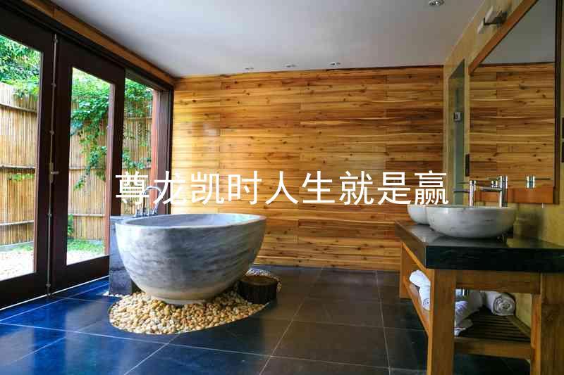 尊龙凯时人生就是赢