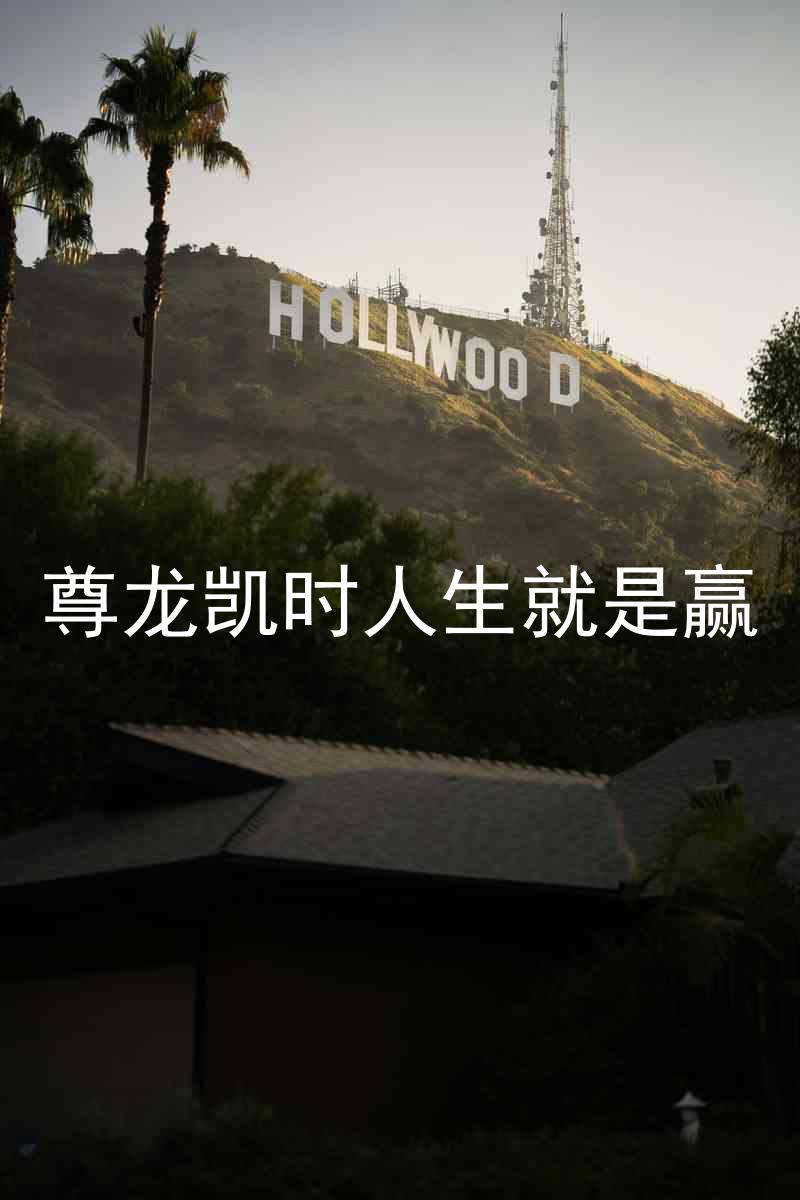 尊龙凯时人生就是赢