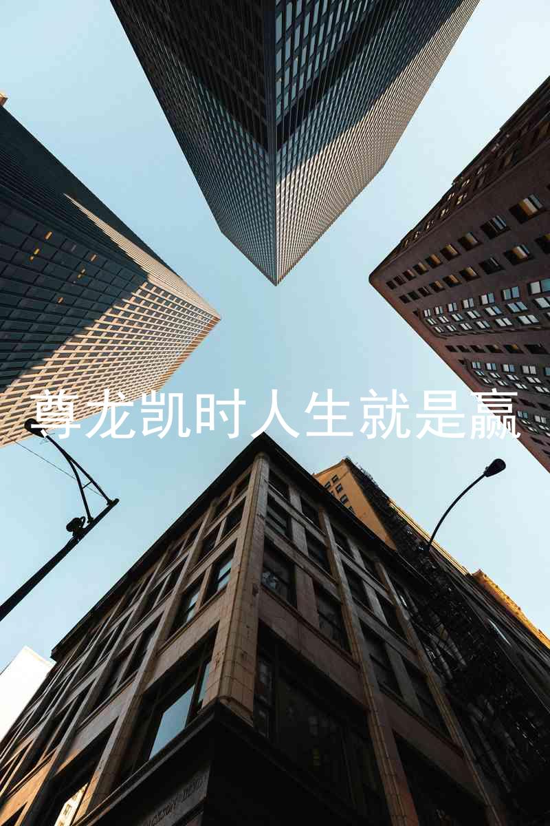 尊龙凯时人生就是赢