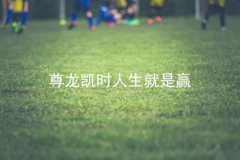 尊龙凯时人生就是赢