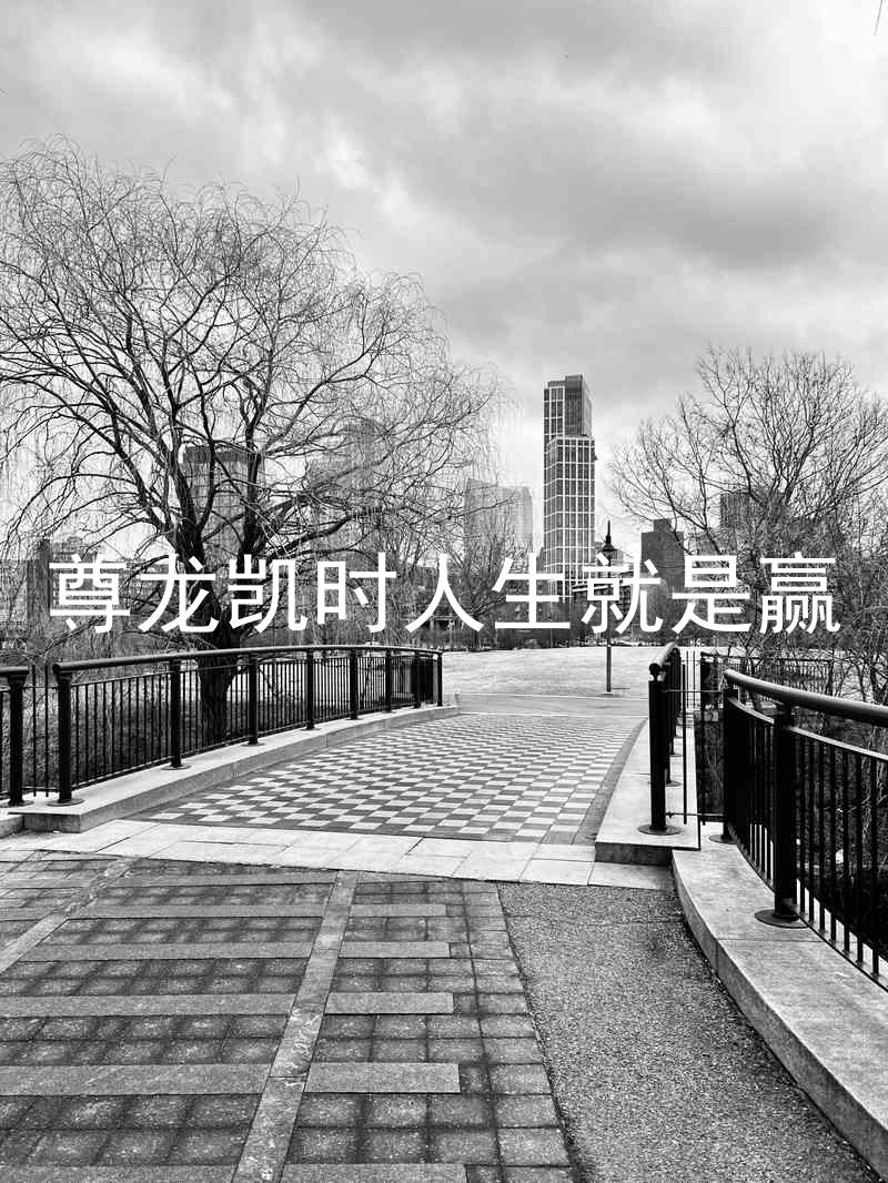 尊龙凯时人生就是赢