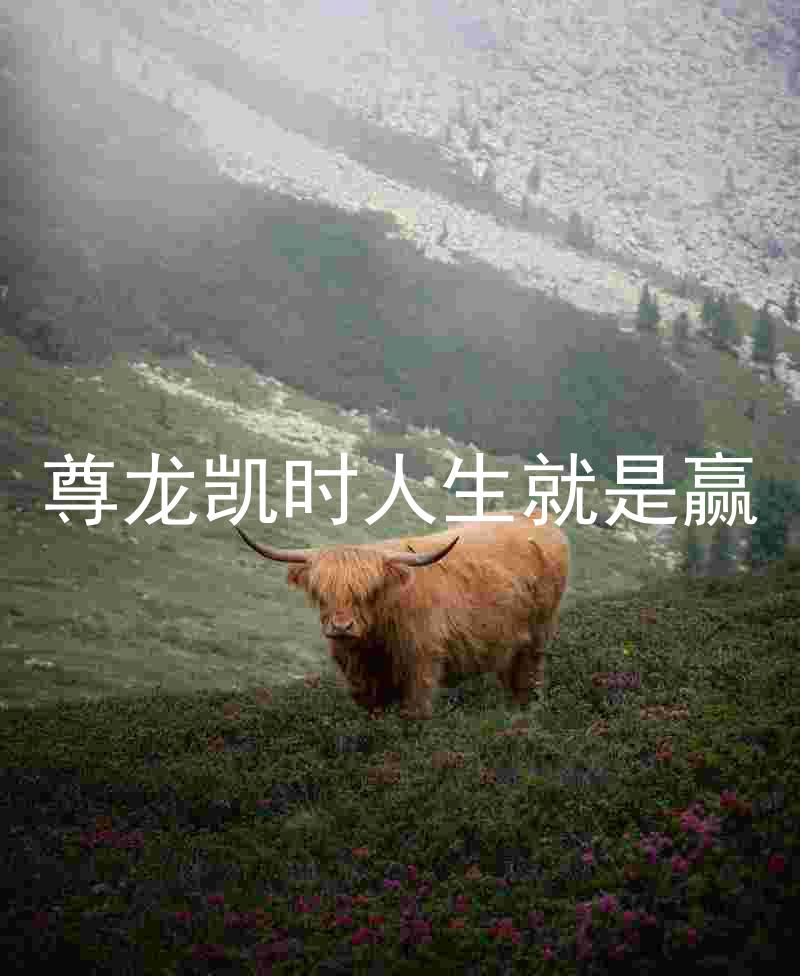 尊龙凯时人生就是赢