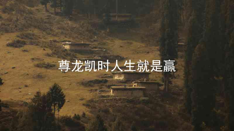 尊龙凯时人生就是赢