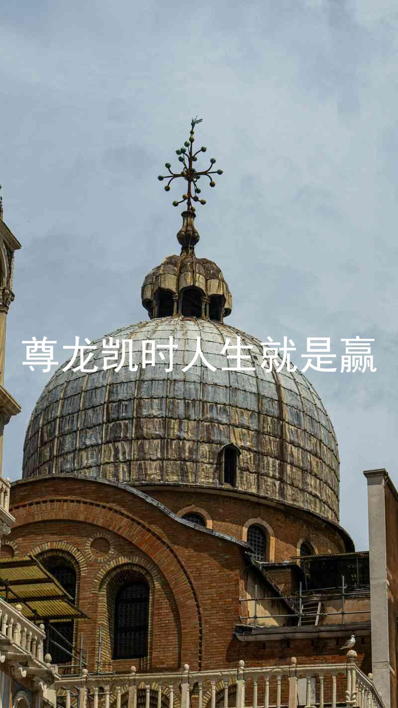 尊龙凯时人生就是赢