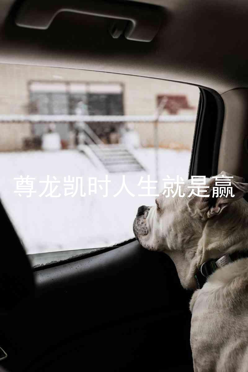 尊龙凯时人生就是赢