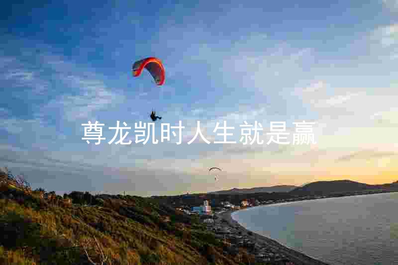 尊龙凯时人生就是赢